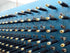 f_article.image.alt